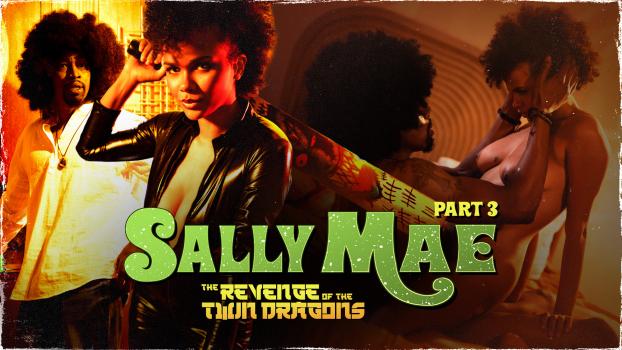 AdultTime – Alina Ali - Sally Mae: The Revenge of the Twin Dragons: Part 3
